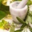 Icono de programa: Your herbal medicine cabi…