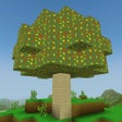 Icono de programa: World Of Craft: Build