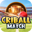 Icono de programa: CriBall Match