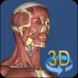Icon of program: 3D Human Anatomy for Wind…
