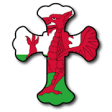 Icon of program: Learn Welsh With the Bibl…