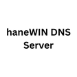 Icono de programa: haneWIN DNS Server