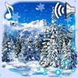 Icon of program: Winter Forest