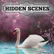 Icono de programa: Hidden Scenes - Winter Sp…
