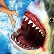 Icono de programa: Shark Attack Angry Fish J…