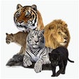 Icono de programa: Animal Sounds