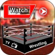 Icon of program: Wrestling Games 2020: Wre…