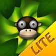 Icono de programa: Monkey Brain Lite