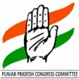 Icon of program: Congress partner