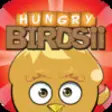 Icon of program: The Hungry Birdsii