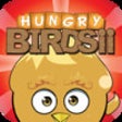 Icono de programa: The Hungry Birdsii