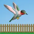 Icon of program: Flappy Hummingbird!