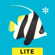 Icono de programa: Peek-a-Zoo Underwater LIT…