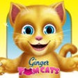 Icono de programa: Ginger Tom Cates
