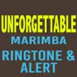 Icon of program: Unforgettable Marimba Rin…