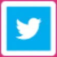 Icon of program: Twitter Training for Wind…