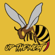 Icon of program: Hornets RFC