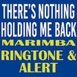 Icon of program: Nothing Holding Me Back