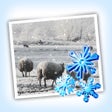 Icono de programa: Snow Daze HD