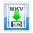 Icon of program: MKV2iOS
