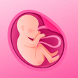 Icon of program: MamaNest  Pregnancy Track…