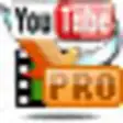 Icon of program: YouTube to Video Converte…