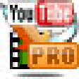 Icon of program: YouTube to Video Converte…