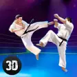 Icon of program: Karate Do Fighting Tiger …