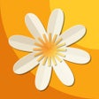 Icono de programa: HomeCraft: DIY Projects I…