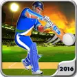 Icon of program: Play Cricket Worldcup 201…