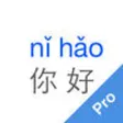 Icon of program: Pinyin Helper Pro - Best …
