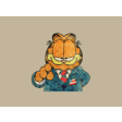 Icon of program: Garfield's Political Part…