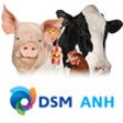 Icono de programa: DSM ANH Product Support 2…