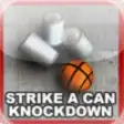 Icon of program: Strike a Can Knockdown