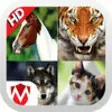 Icon of program: Animal sounds - App for k…