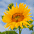 Icon of program: QuickHDR