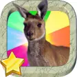 Icon of program: Kangaroo Punch Boxing Gam…