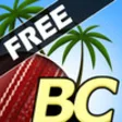 Icon of program: Beach Cricket Free