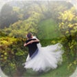 Icono de programa: The Gold Wedding Planner