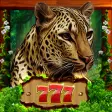 Icon of program: Wild Animals Kingdom Casi…