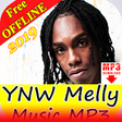 Icono de programa: Ynw Melly