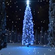 Icono de programa: Holiday Tree Screensaver