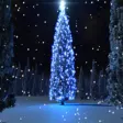 Icon of program: Holiday Tree Screensaver