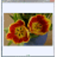 Icono de programa: NEFView (64-Bit)