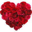 Icono de programa: New WAStickerApps Flowers…