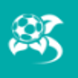 Icono de programa: Euro Cup 2012 for Windows…