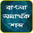 Icon of program: বল সমরথক শবদ-Bangla Syno