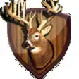 Icon of program: Deer Huntings Calls
