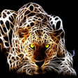 Icono de programa: HD wallpaper ( NEW ) 2020