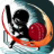 Icon of program: Cricket Career Biginnings…
